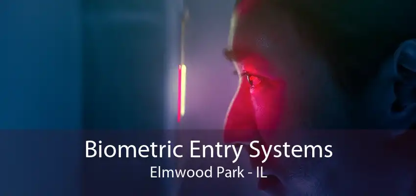 Biometric Entry Systems Elmwood Park - IL